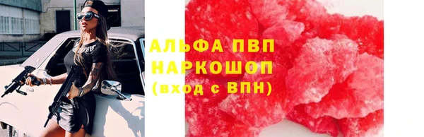 гидра Рославль
