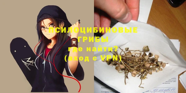 PSILOCYBIN Ветлуга