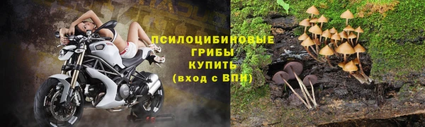 сатива Протвино
