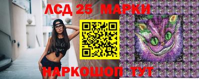 хмурый Новокубанск