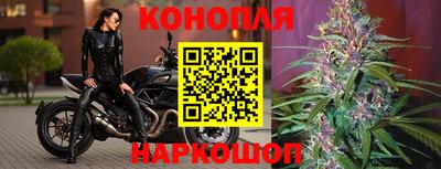соль ск Новодвинск