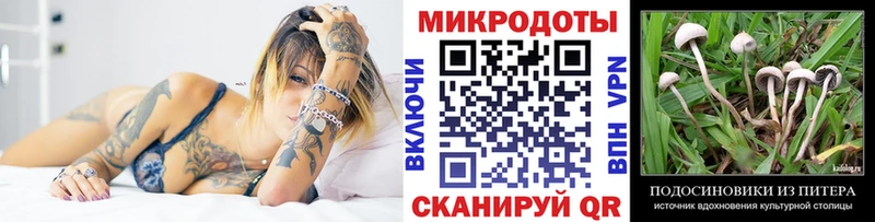 цена   Стрежевой  Псилоцибиновые грибы Magic Shrooms 
